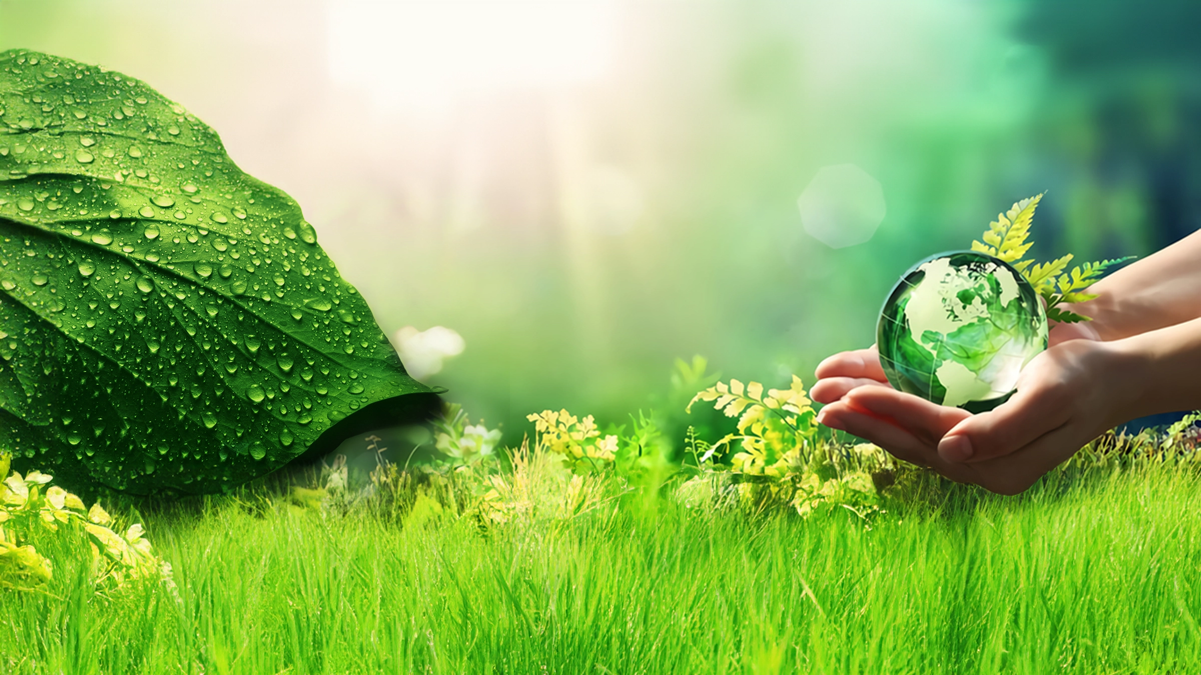 Products That Perform By People Who Care...